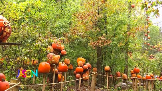 Jason trains and feeds a moose at the Minnesota Zoo