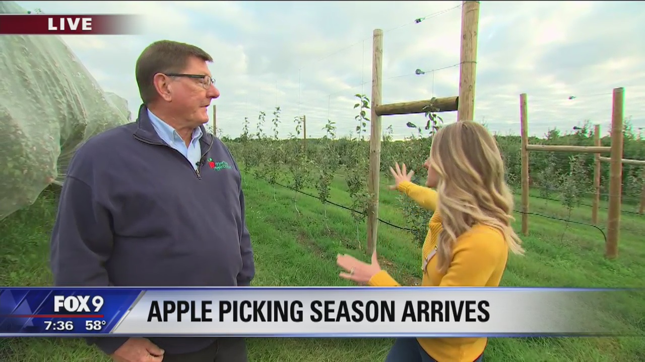 Fall means apple season in Minnesota