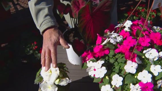 What flowers can you plant now? Dale K on protecting your plants from frost