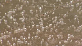 Hail falls in Belle Plaine, Minnesota