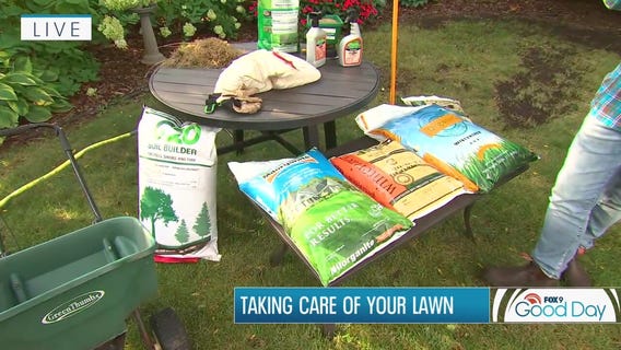Lawn fixer upper with Garden Guy Dale K