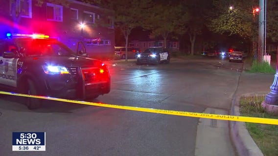 'Team of rivals' to help bring changes to Minneapolis Police Department