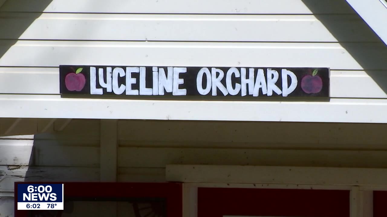 Town Ball Tour: Exploring Watertown businesses