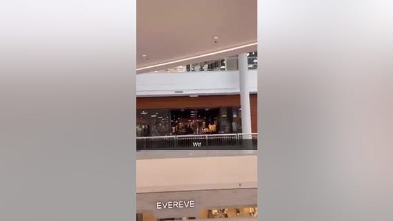 Mall of America shooting: Shots fired heard on video