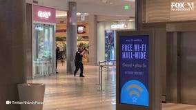 Cops with guns sweep Mall of America after shooting reported