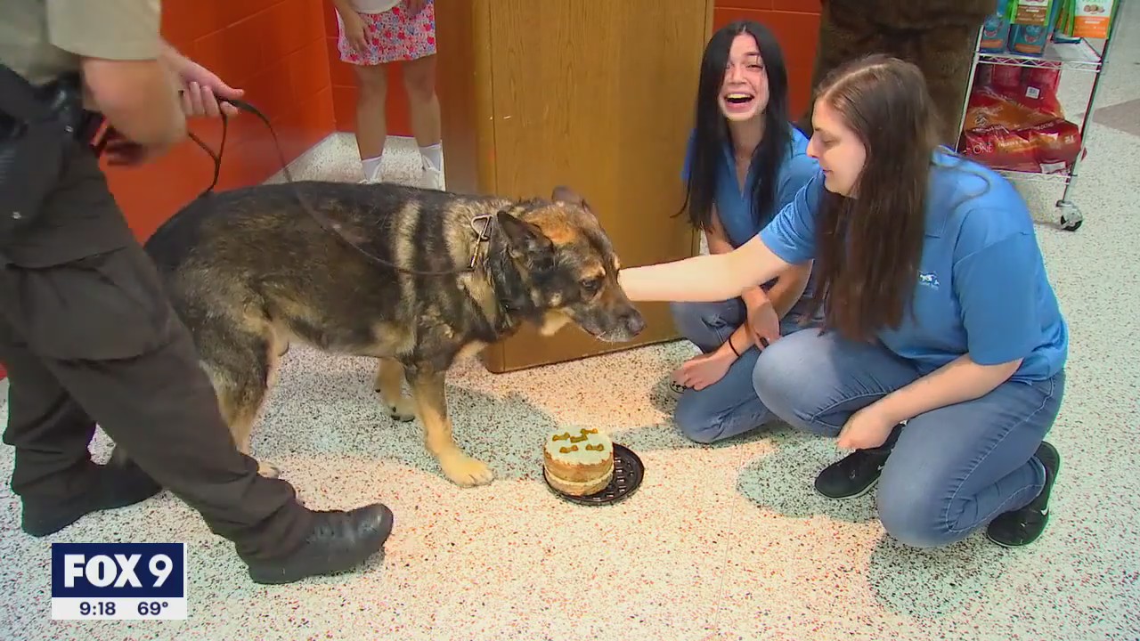 Final assignment: K9 Brody hosts adoption event for retirement
