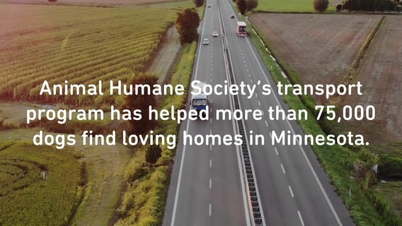 Desoto?s lifesaving ride