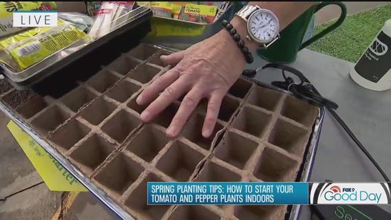 Spring planting tips: Getting a jumpstart on your garden indoors