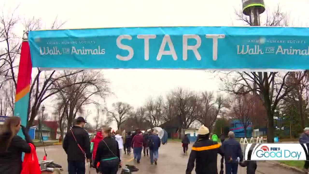 The Animal Humane Society prepares for their Walk for Animals