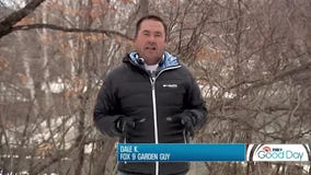 Maple Syrup with Garden Guy Dale K