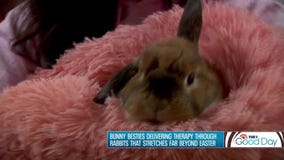 Bunny Besties offer therapy through trained rabbits