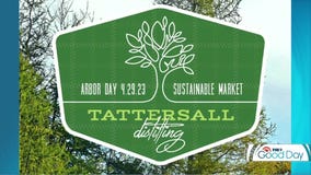 Arbor Day at Tattersall