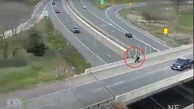 Person fleeing police jumps off bridge