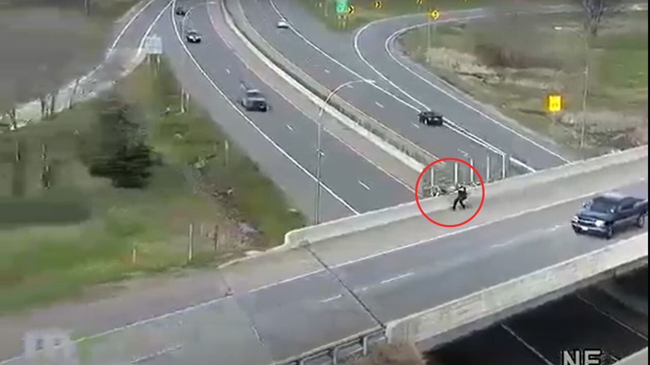 Person fleeing police jumps off bridge