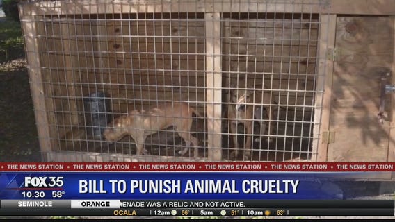 Bill to punish animal abusers gets traction