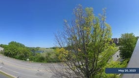 Spring green-up timelapse: Eden Prairie