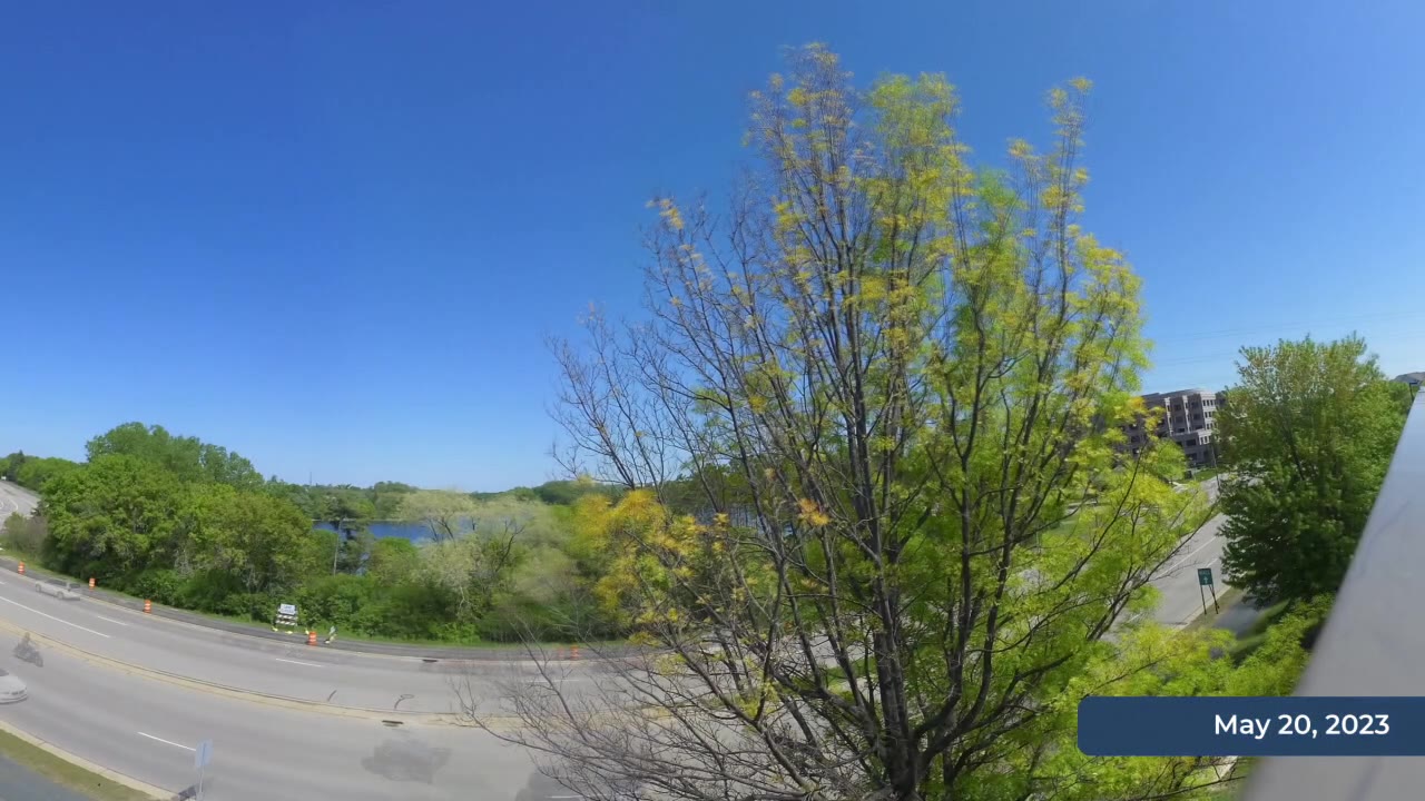 Spring green-up timelapse: Eden Prairie