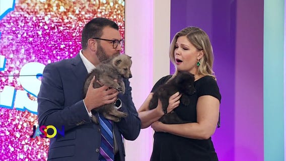 Safari North brings baby animals on The Jason Show
