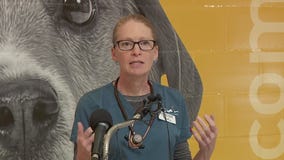 Animal Humane Society closing adoption centers due to canine flu [RAW]