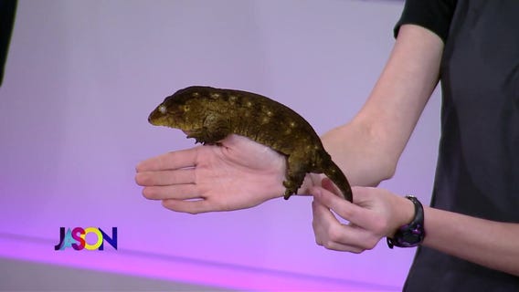 Emily from Snake Discovery returns