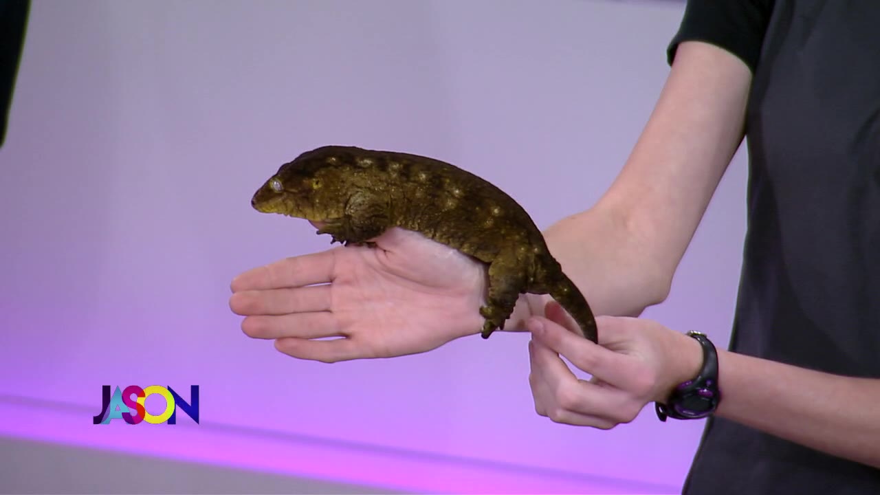 Emily from Snake Discovery returns