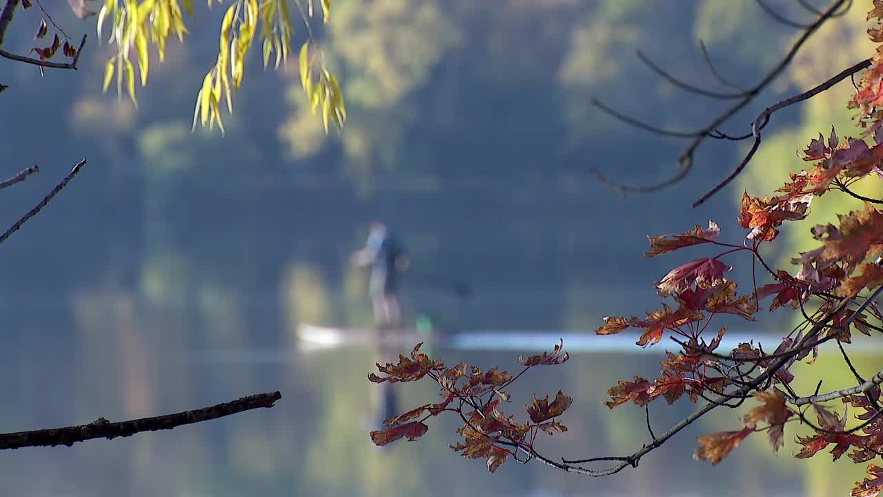 Minnesota fall colors