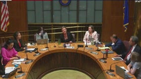 Mpls, St. Paul City Council races close