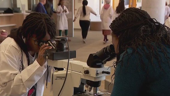 Promoting diversity in healthcare