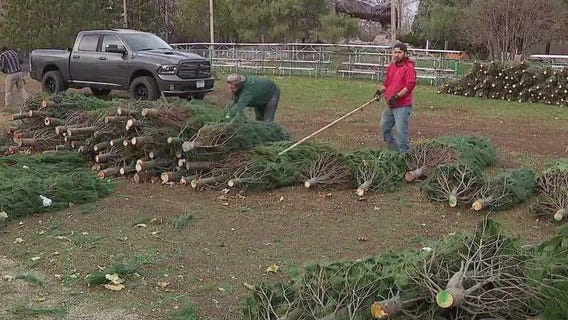 Minnesotans enjoy mild fall weather