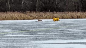 Deer rescued from thin ice in Prior Lake