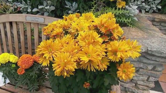 Como Zoo & Conservatory's fall flower show