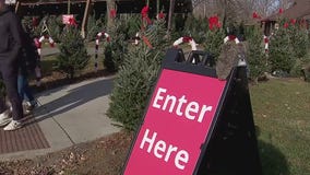 Black Friday traditions still strong