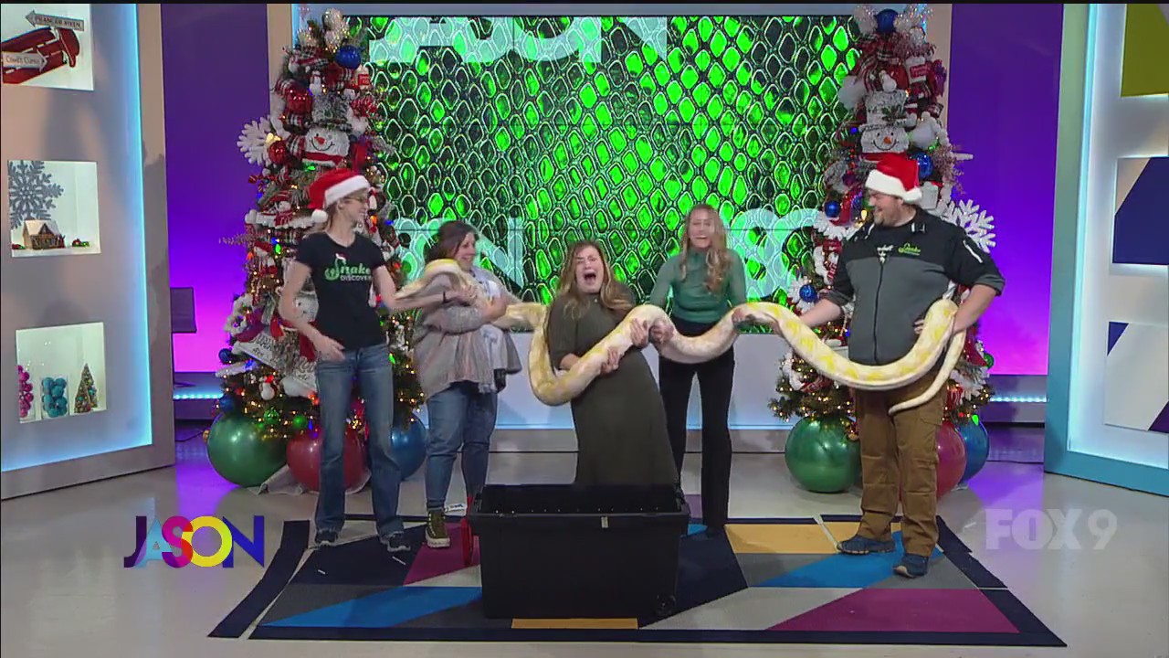 Snake Discovery brings massive snake to the Jason Show