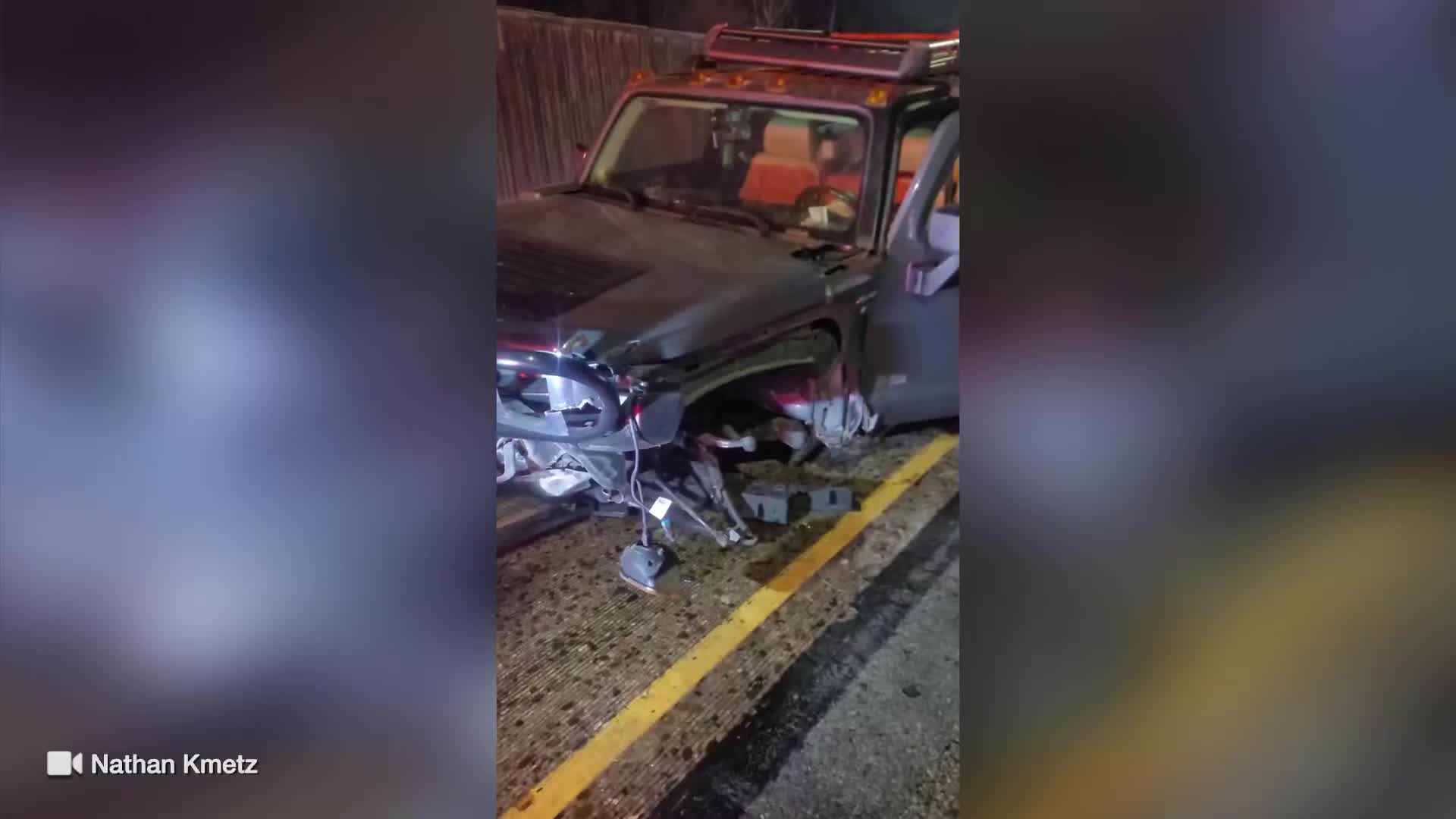 Cougar hit, killed on Minneapolis freeway