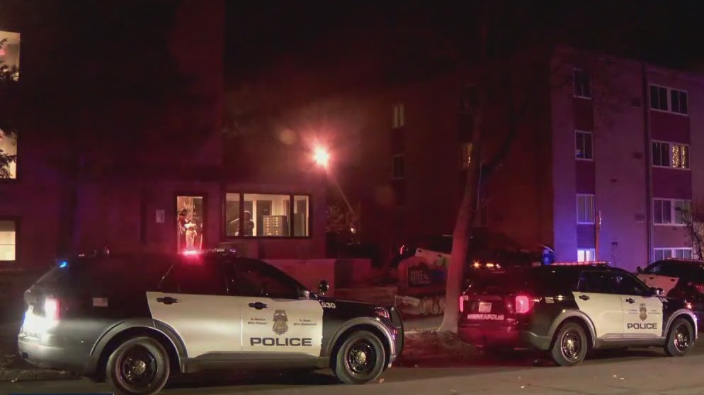 Family mourns woman killed in domestic attack | FOX 9 Minneapolis-St. Paul