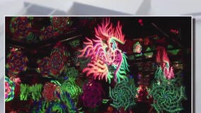 Wink World comes to Mall of America