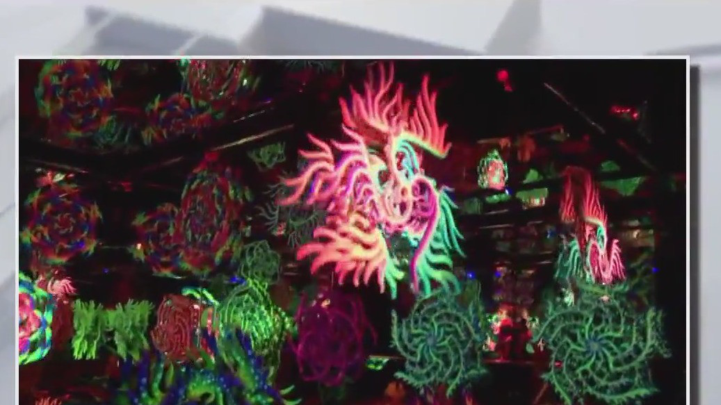 Wink World comes to Mall of America