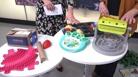 Entertaining pets during winter