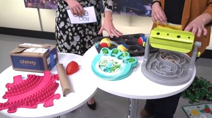 Entertaining pets during winter