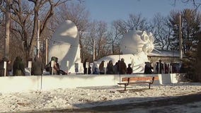 Huge seal snow sculpture debuted in New Brighton