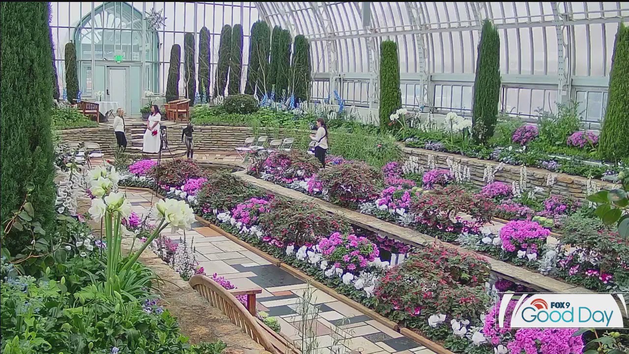 FOX 9 Good Day: Jan. 24, 2024