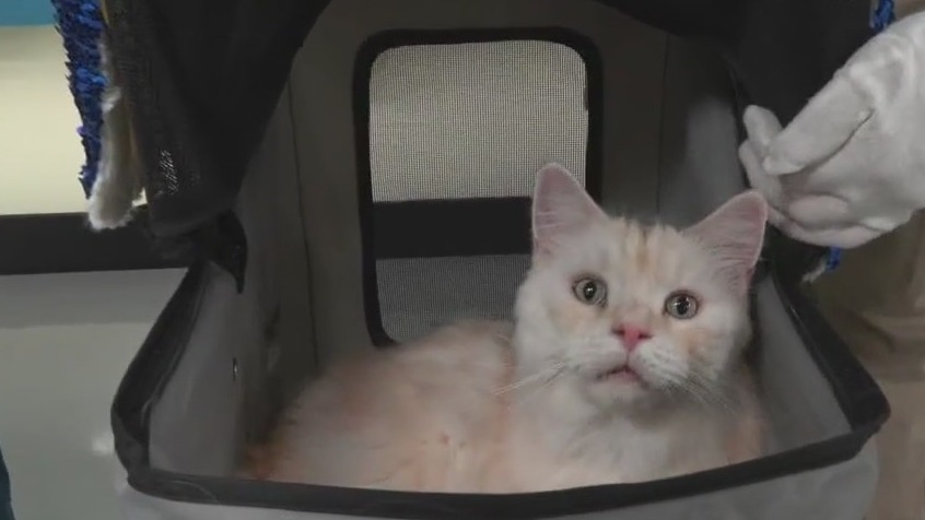 FOX 9 Good Day: Jan. 26 2024