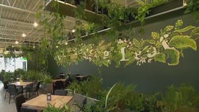 Garden Guy Dale K: Wandering Leaf Brewing Co.