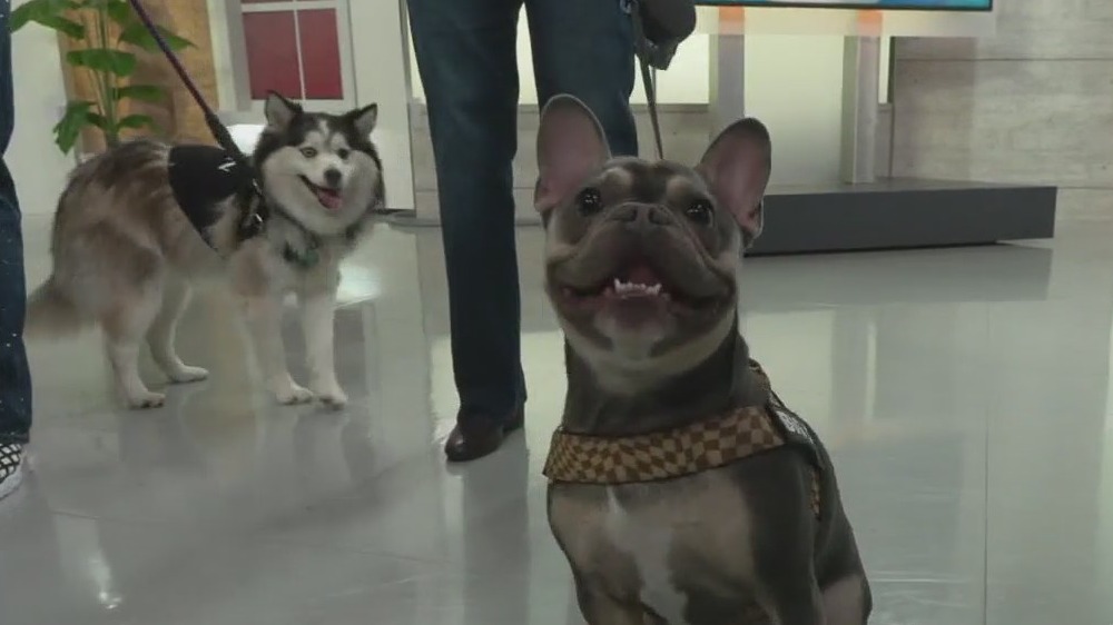 FOX 9 Good Day: Feb. 2, 2024