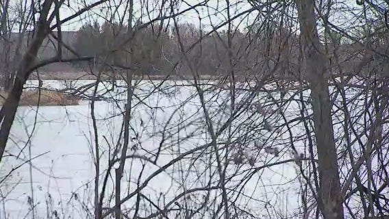 Woodbury knife attack: Community reacts