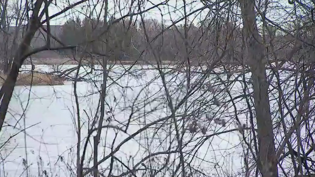 Woodbury knife attack: Community reacts