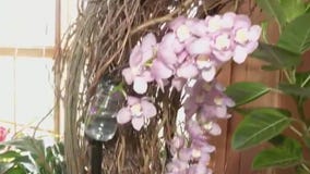 Spring Flower Show at the Arb