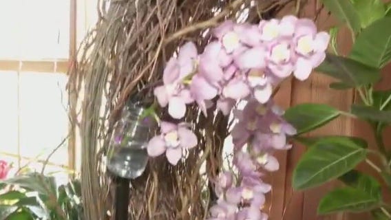 Spring Flower Show at the Arb