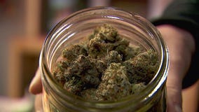 The growing market of homegrown marijuana