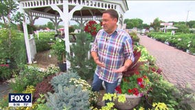 Garden Guy Dale K shares tips on deer-resistant plants